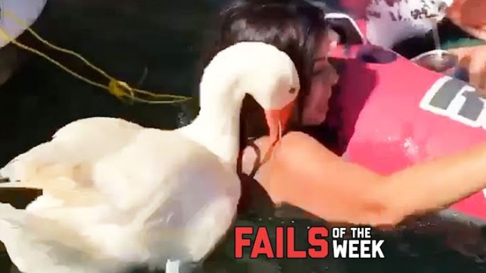 Duck Attacks Chick (2023)
